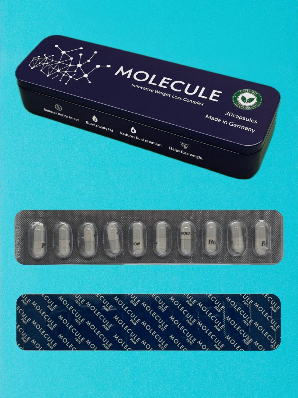Molecule Plus